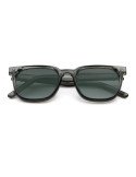 TERTIO  Occhiali da sole polarizzati 9842-C2