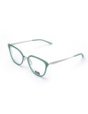 NORDOPTIC Gafa de Vision Acetato Acero 33006A002